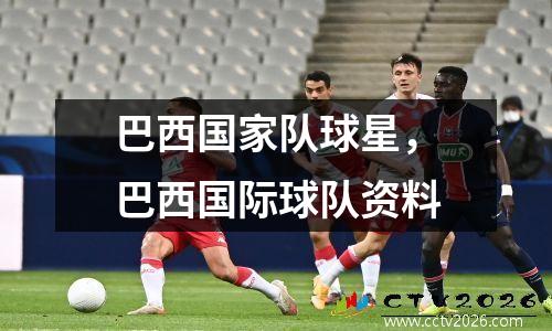巴西国家队球星，巴西国际球队资料