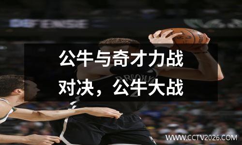 公牛与奇才力战对决，公牛大战