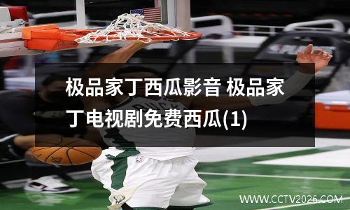 极品家丁西瓜影音 极品家丁电视剧免费西瓜(1)