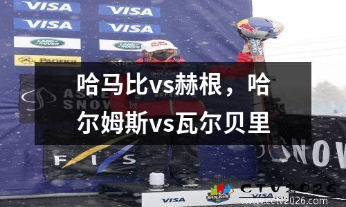 哈马比vs赫根，哈尔姆斯vs瓦尔贝里