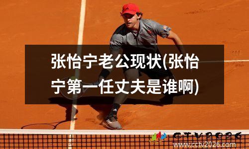 张怡宁老公现状(张怡宁第一任丈夫是谁啊)