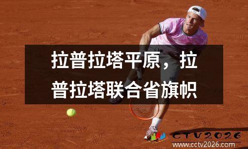 拉普拉塔平原，拉普拉塔联合省旗帜