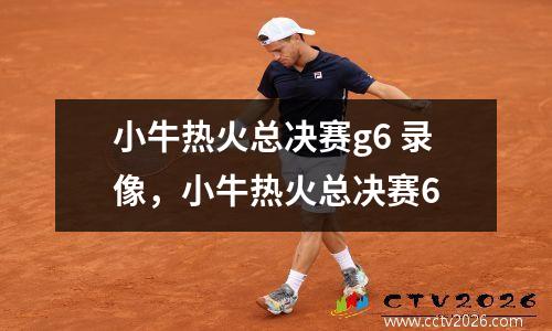 小牛热火总决赛g6 录像，小牛热火总决赛6