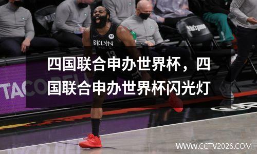 四国联合申办世界杯，四国联合申办世界杯闪光灯
