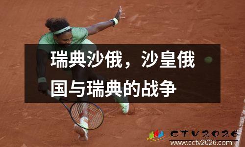 瑞典沙俄，沙皇俄国与瑞典的战争
