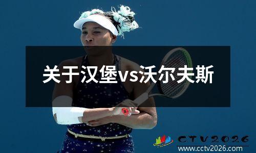 关于汉堡vs沃尔夫斯