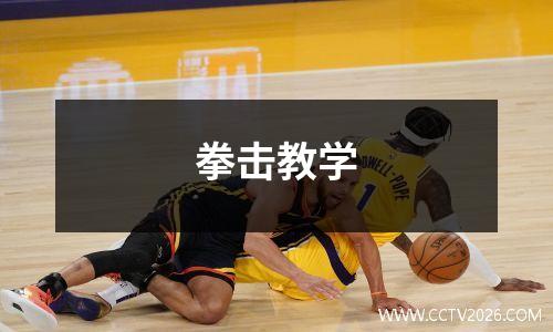 拳击教学