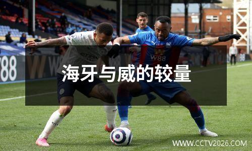 海牙与威的较量