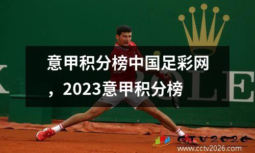 意甲积分榜中国足彩网，2023意甲积分榜