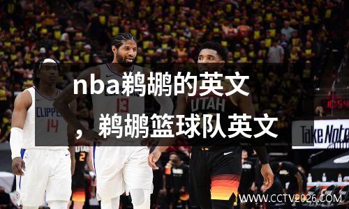 nba鹈鹕的英文，鹈鹕篮球队英文