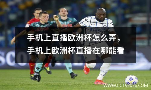 手机上直播欧洲杯怎么弄，手机上欧洲杯直播在哪能看