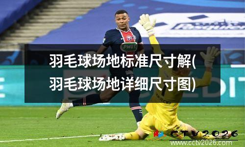 羽毛球场地标准尺寸解(羽毛球场地详细尺寸图)