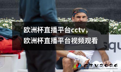 欧洲杯直播平台cctv，欧洲杯直播平台视频观看