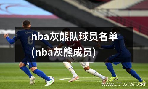 nba灰熊队球员名单(nba灰熊成员)