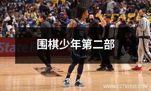围棋少年第二部