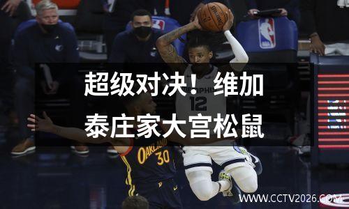 超级对决！维加泰庄家大宫松鼠