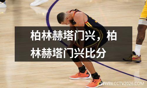 柏林赫塔门兴，柏林赫塔门兴比分