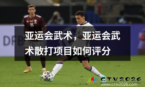 亚运会武术，亚运会武术散打项目如何评分