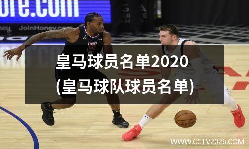 皇马球员名单2020(皇马球队球员名单)