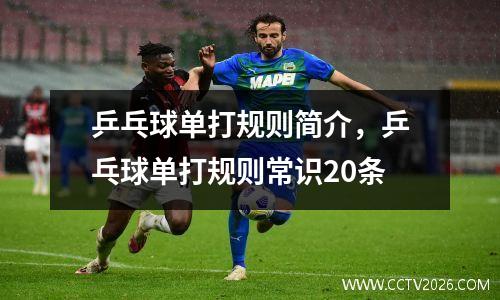 乒乓球单打规则简介，乒乓球单打规则常识20条