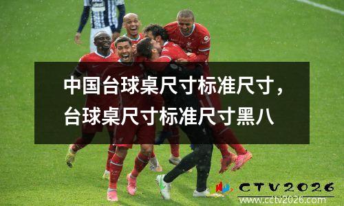 中国台球桌尺寸标准尺寸，台球桌尺寸标准尺寸黑八