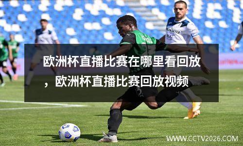 欧洲杯直播比赛在哪里看回放，欧洲杯直播比赛回放视频