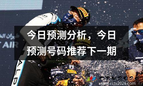 今日预测分析，今日预测号码推荐下一期