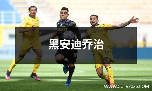 黑安迪乔治