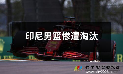印尼男篮惨遭淘汰