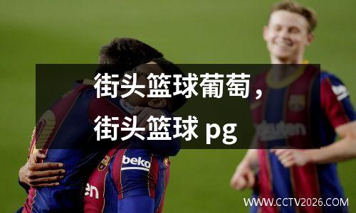 街头篮球葡萄，街头篮球 pg