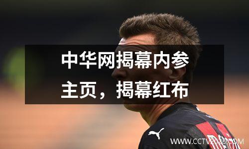 中华网揭幕内参主页，揭幕红布