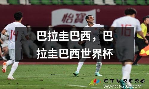 巴拉圭巴西，巴拉圭巴西世界杯