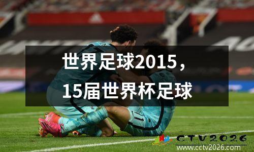 世界足球2015，15届世界杯足球