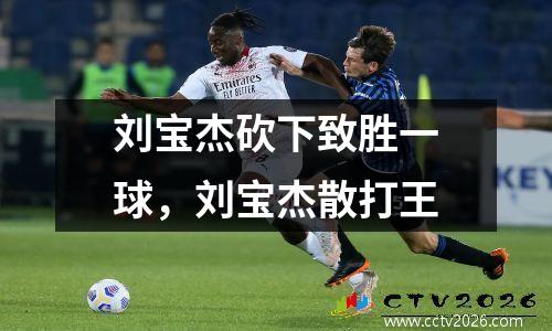 刘宝杰砍下致胜一球，刘宝杰散打王