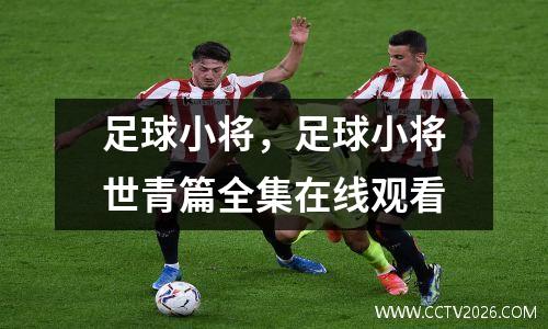 足球小将，足球小将世青篇全集在线观看