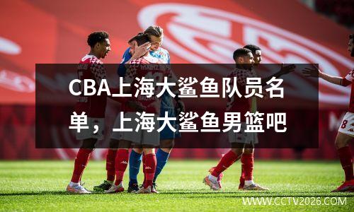 CBA上海大鲨鱼队员名单，上海大鲨鱼男篮吧