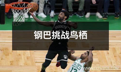 钢巴挑战鸟栖