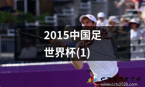 2015中国足世界杯(1)
