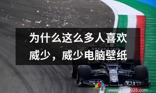 为什么这么多人喜欢威少，威少电脑壁纸