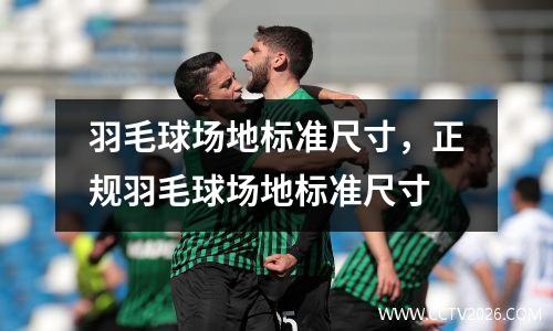 羽毛球场地标准尺寸，正规羽毛球场地标准尺寸