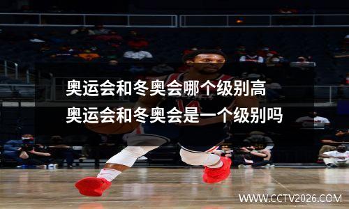 奥运会和冬奥会哪个级别高 奥运会和冬奥会是一个级别吗