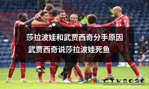 莎拉波娃和武贾西奇分手原因 武贾西奇说莎拉波娃死鱼