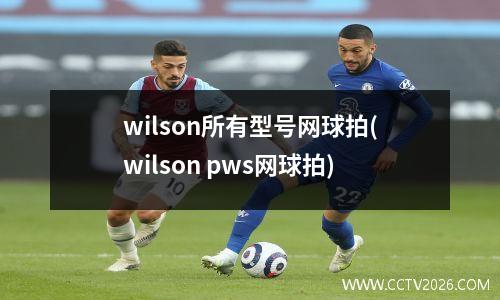 wilson所有型号网球拍(wilson pws网球拍)