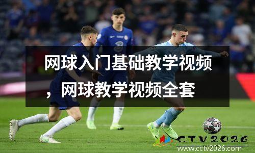 网球入门基础教学视频，网球教学视频全套