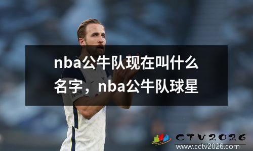 nba公牛队现在叫什么名字，nba公牛队球星