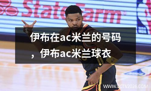 伊布在ac米兰的号码，伊布ac米兰球衣