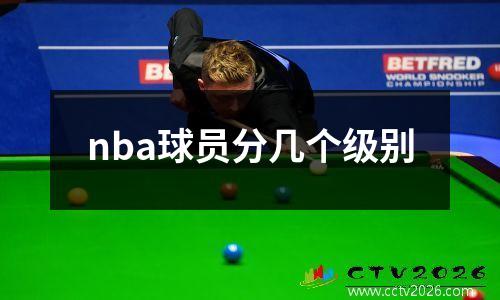nba球员分几个级别