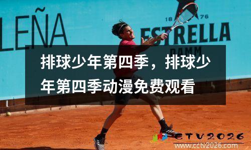排球少年第四季，排球少年第四季动漫免费观看