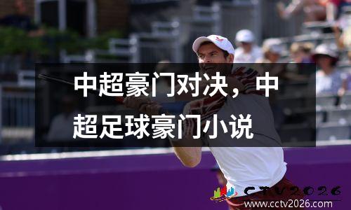 中超豪门对决，中超足球豪门小说