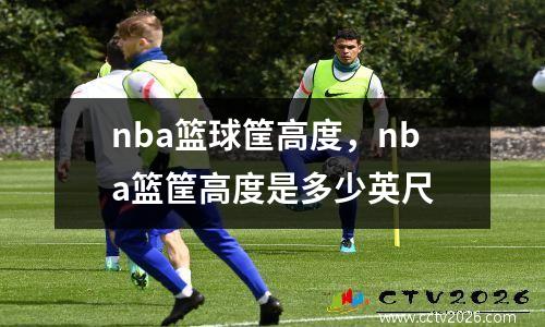 nba篮球筐高度，nba篮筐高度是多少英尺